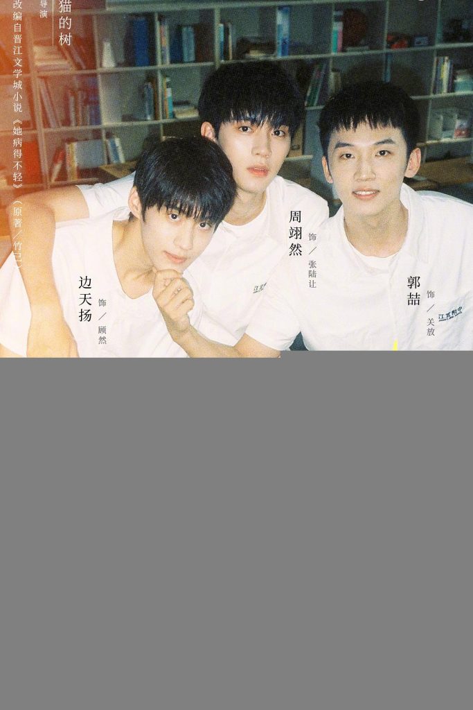 【电视剧】【当我飞奔向你 (2023) 】4K高清|周翊然|张淼怡 |不同于寻常的暗恋故事,本剧讲述了一段青春洋溢细腻柔软青春群像故事|又名: 她病得不轻