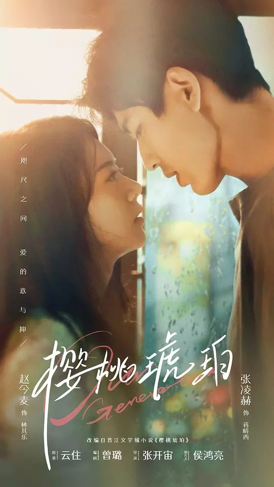 【国剧】樱桃琥珀 [2025][剧情 爱情 大陆] 主演: 赵今麦 / 张凌赫 / 董洁 / 保剑锋 / 董璇 | 又名: Our Generation / 樱桃琥珀