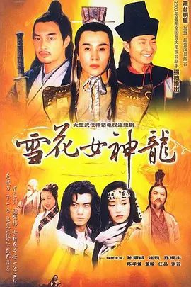 【电视剧】雪花女神龙（2002）4K高清全集|董璇 / 任天野 / 乔振宇 / 孙耀威|上官燕成长为江湖上有名的“女神龙’|雪花女神龙|夸克网盘资源