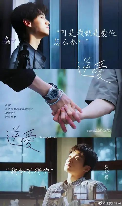 逆愛（2025）4K高清|已更最新|梓渝、田栩宁|改编自柴鸡蛋小说《逆袭》同性|逆爱在线|逆爱无删减（内附逆爱花絮+小说）夸克网盘免费