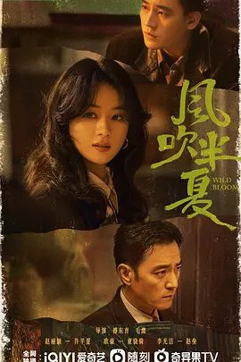 【电视剧】风吹半夏（2022）4K全集|赵丽颖、欧豪、李光洁|许半夏懂得了如何果断解决问题，如何突破自己，收获了事业和爱情|风吹半夏夸克网盘资源