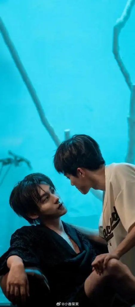 2025电视剧【逆爱】4K高清|梓渝、田栩宁|同性双男主|改编自柴鸡蛋小说《逆袭》全集|逆爱夸克网盘资源在线