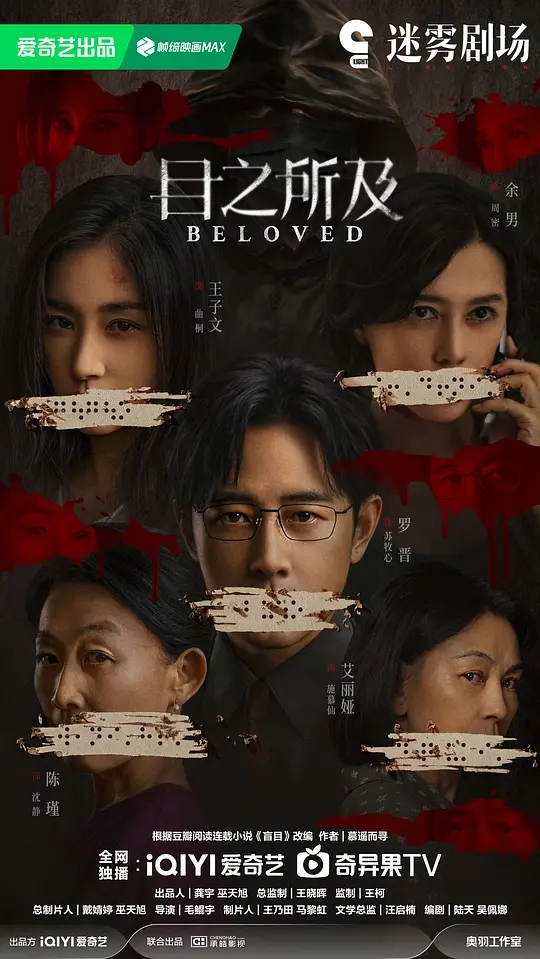 【国剧】目之所及 [2025]高清4K[剧情 悬疑 大陆][罗晋 王子文]|本剧改编自豆瓣阅读连载小说《盲目》|夸克