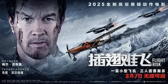 【电视剧】插翅难飞 Flight Risk (2025)4K高清|内有杀手潜伏，外有空中险情，谁能逃出这班灭口杀“机”？又名: 高空杀机|插翅难飞|夸克网盘资源