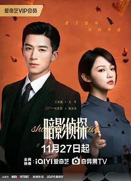 【电视剧】暗影侦探 (2025)4K高清|王星越 / 吴佳怡|重启调查女童拐卖案，驱散了遮蔽在他们头顶的迷雾与噩梦。暗影侦探|夸克网盘资源