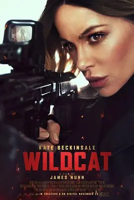【欧美电影】限时营救 Wildcat (2025)1080P高清|动作 / 惊悚|凯特·贝金赛尔 / 刘易斯·陈 / 艾丽丝·克里奇 /限时营救|夸克网盘资源