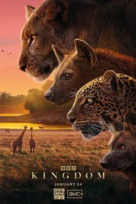 【纪录片】动物王国 Kingdom (2025)4K高清|多年来，各个家族兴衰沉浮，究竟谁能成为这片瑰丽王国的主宰？动物王国|夸克网盘资源