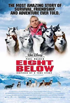 【欧美电影】南极大冒险 Eight Below (2006)1080P高清|为了挽救它们，三人沿途折回，回到了那片南极大地。又名: 极地雪犬|夸克网盘资源