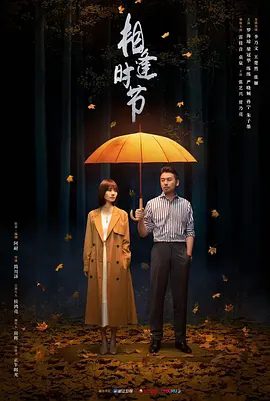 【电视剧】相逢时节 (2022)4K高清|雷佳音|袁泉|张艺兴|贾乃亮|罗海琼|好在他们重新认识了彼此，也认清了自己想要的生活。相逢时节|夸克网盘无删减资源全集