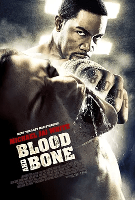 【欧美电影】血与骨 Blood and Bone (2009)1080P高清|迈克尔·加·怀特 / 朱利安·山德斯|剧情 / 动作|血与骨|夸克网盘资源
