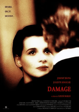 【电影】烈火情人 Damage (1992) 法国高清|夸克网盘下载