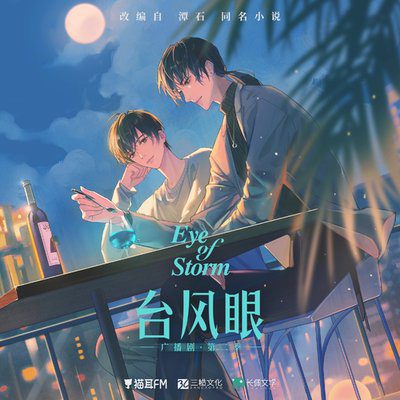 【广播剧】台风眼（史泽鲲&郝祥海） 有声小说|夸克网盘在线资源