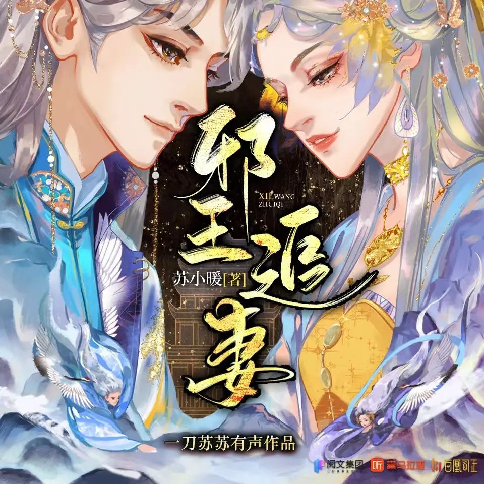  【有声小说】《邪王追妻》主播：一刀苏苏 第一季完|夸克下载