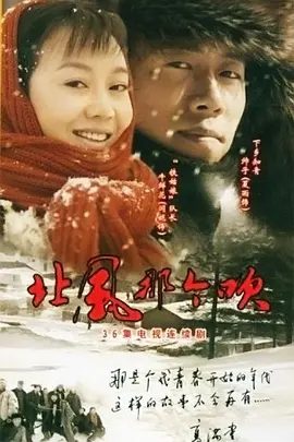 【电视剧】北风那个吹 (2009)1080P高清|夏雨 / 闫妮 / 马苏|终于在事业上获得成功，却与刘青和帅子的公司数次正面交锋|北风那个吹|夸克网盘资源全集