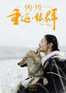 【高分纪录片】重返·狼群 (2017)4K高清|一路追寻狼群的踪迹，历经严寒酷雪，终于目送它成功地重返狼群。又名: 重返狼群|夸克网盘无删减资源