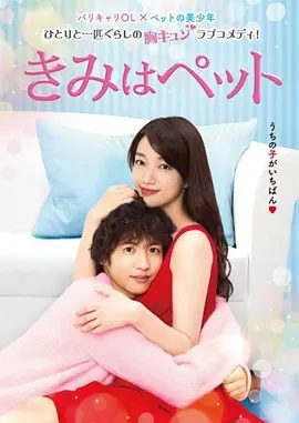 【日剧】宠物情人 きみはペット (2017)1080P高清|就这样，武志和岩谷开始了他们的同居生活。又名: 宠物爱人|夸克网盘无删减资源全集