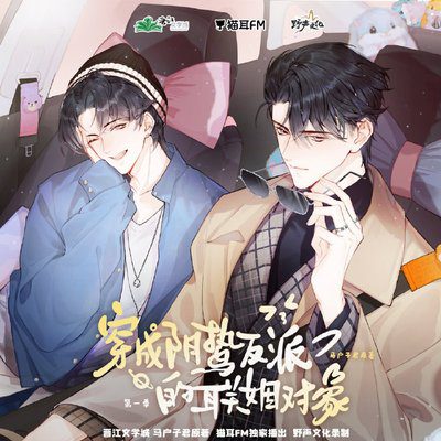 【广播剧】穿成阴鸷反派的联姻对象  有声小说 夸克网盘资源