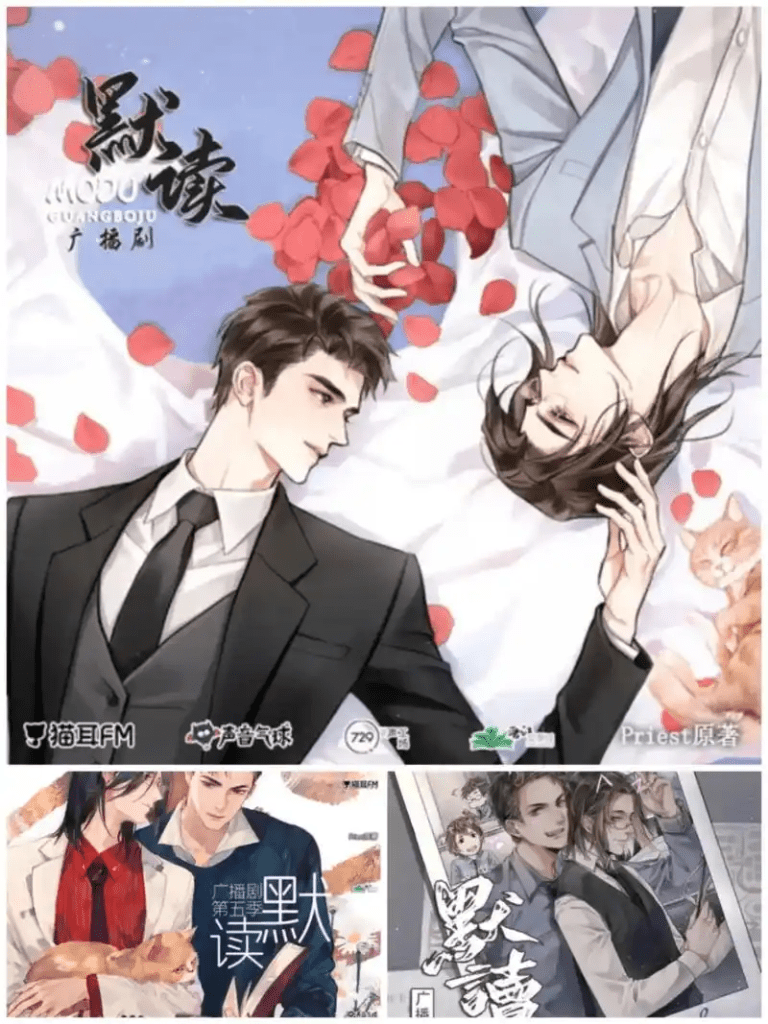 【广播剧】默读  有声小说 百度网盘资源