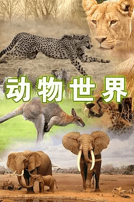 【纪录片】动物世界 Animal World (1968)4K高清无删减全集|又名: Animal Kingdom|动物世界|夸克网盘资源