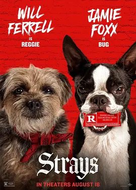 【欧美电影】复仇狗联盟 Strays (2023)4K高清无删减|威尔·法瑞尔 / 杰米·福克斯|喜剧 / 冒险|又名: 流浪狗 / 复仇戆狗联盟|复仇狗联盟|夸克网盘资源