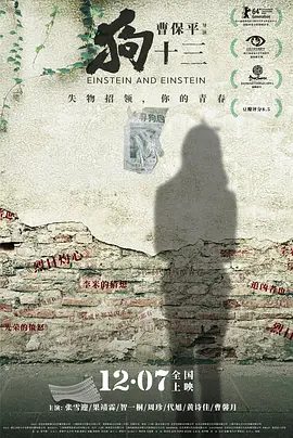 【高分电影】狗十三 (2013)4K高清|张雪迎 / 果靖霖 / 智一桐 / 代旭 / 黄诗佳|开启了它汹涌又无奈的成长之路。又名: 狗13 / 狗十三|夸克网盘无删减资源
