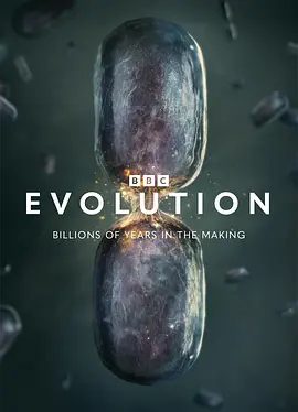 【纪录片】演化 第一季（2026）4K高清|大象是如何成为庞然大物的？海豚是如何获得超高智商的？蝙蝠是如何变得食量惊人的？又名: 进化|演化|夸克网盘无删减资源