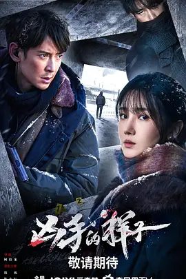 【电视剧】凶手的样子 (2024)4K高清全集|韩栋 / 陈小纭 /正邪对决愈发扣人心弦，爱恨情仇的剧情引人入胜。又名: 暴雪追凶|凶手的样子|夸克资源网盘下载