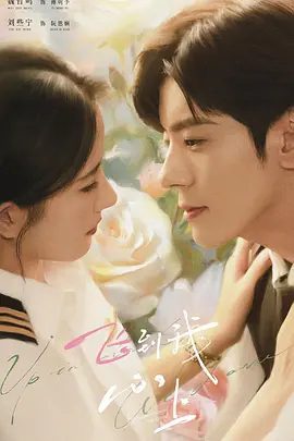 【电视剧】飞到我心上 (2026)4K高清|魏哲鸣 / 刘些宁 / 马渝捷 /两人在相互支持与理解中，终于降落在彼比的心上。飞到我心上|又名: 降落我心上|夸克网盘资源