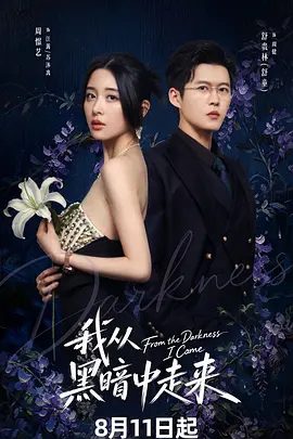 【电视剧】我从黑暗中走来 (2026)4K高清|周憬艺 / 舒贵林 / 魏尊|剧情 / 爱情 / 悬疑|我从黑暗中走来|夸克最新资源网盘下载