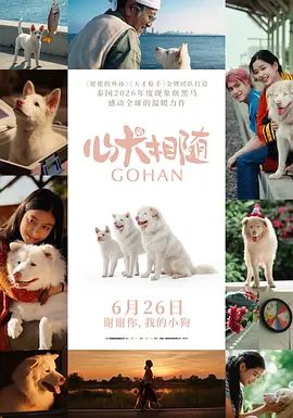 【泰影】心犬相随(2026)1080P高清|科里 / 米乔克 / 希玛 /这份人与狗狗间深厚隽永的爱，在岁月里永远温存。又名: 伴我一生，感謝你|心犬相随|夸克网盘资源